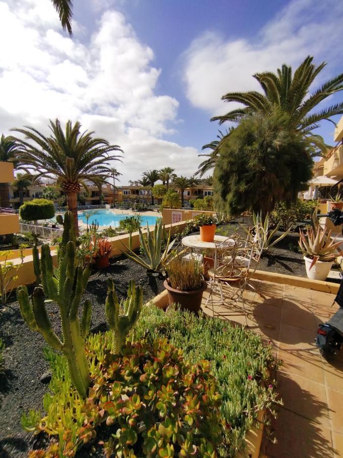 Casa Dan "Residencial Las Dunas" コラレホ エクステリア 写真
